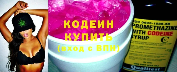сатива Елабуга