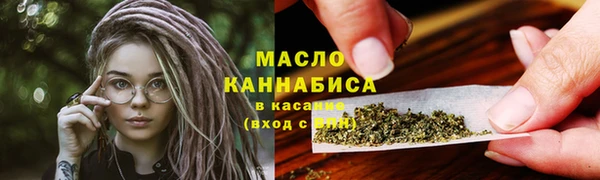сатива Дмитриев