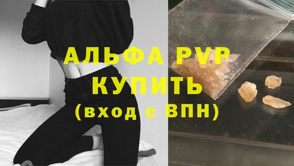 сатива Елабуга