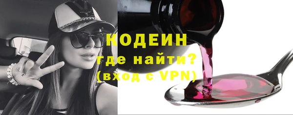 сатива Дмитриев