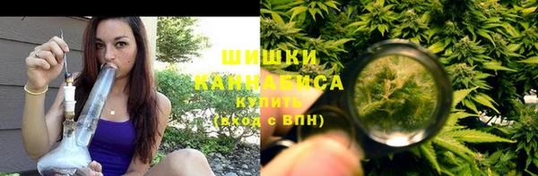 сатива Дмитриев