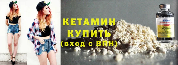 сатива Дмитриев