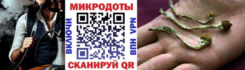 наркошоп Корсаков Псилоцибиновые грибы мицелий