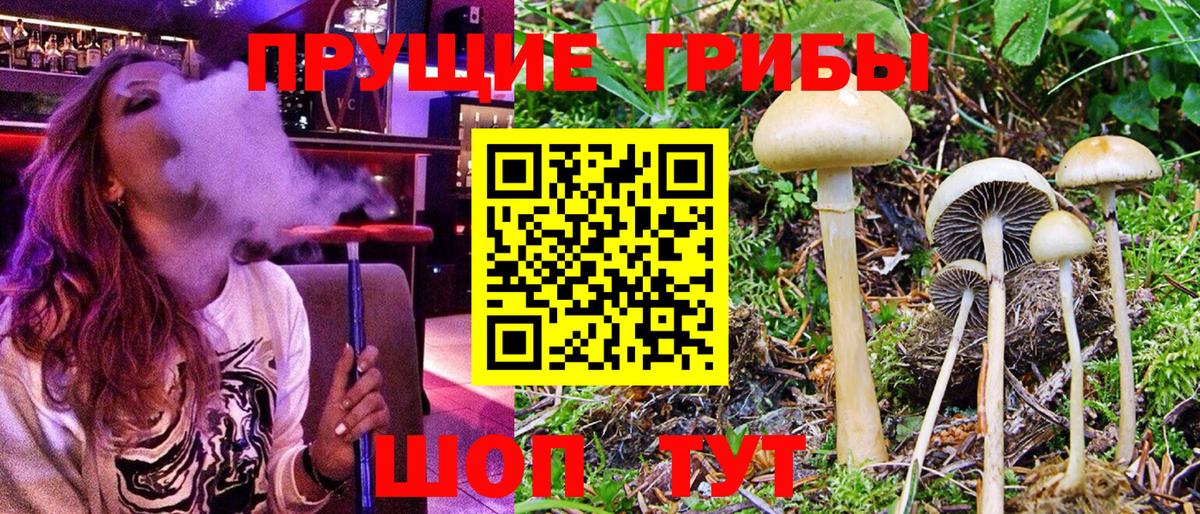 Корсаков  Псилоцибиновые грибы Magic Shrooms  Вход с VPN  Галлюциногенные грибы Cubensis 
